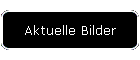 Aktuelle Bilder