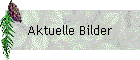 Aktuelle Bilder