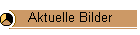 Aktuelle Bilder