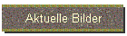 Aktuelle Bilder